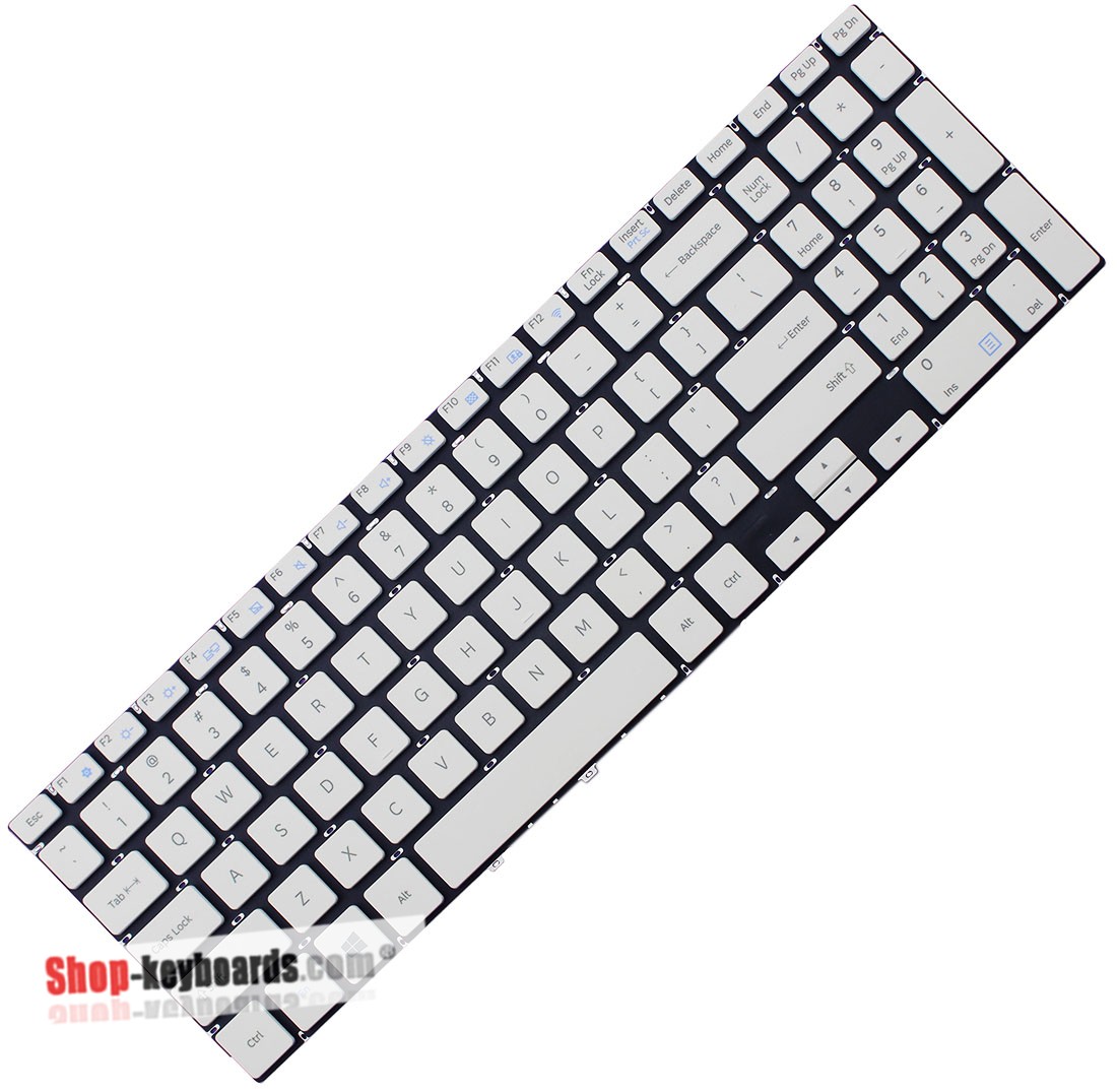 Samsung NP500R5H-Y09  Keyboard replacement