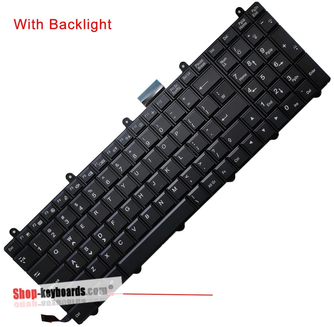 Sager NP9570 Keyboard replacement