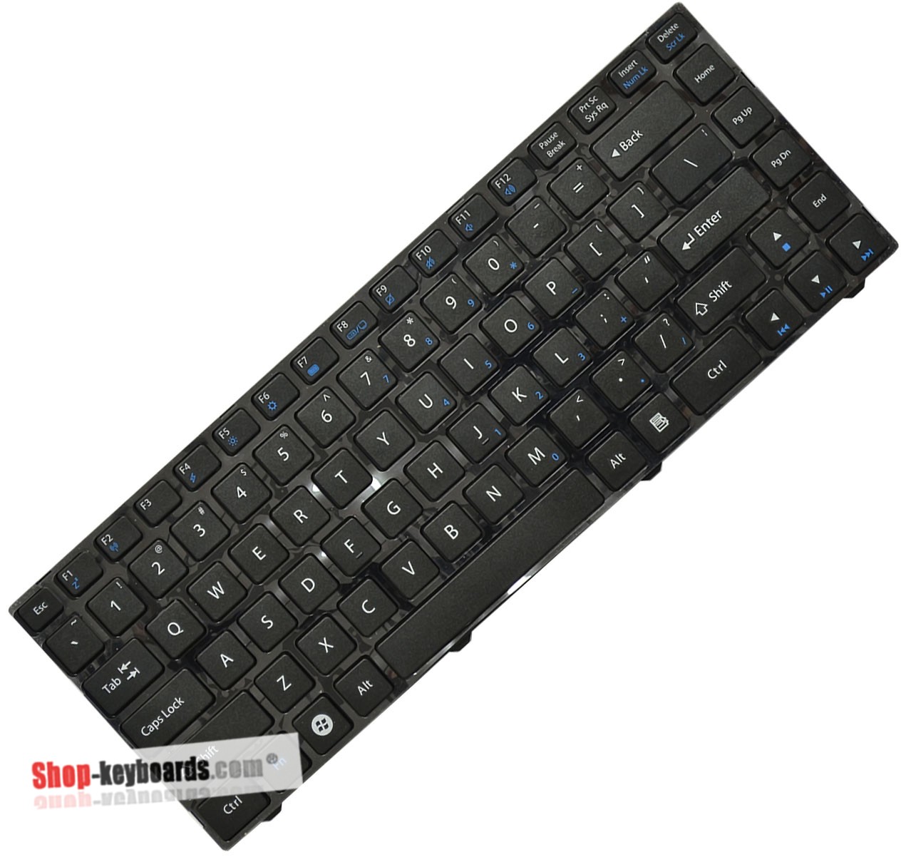 CHICONY MP-11P56E0-5283W Keyboard replacement