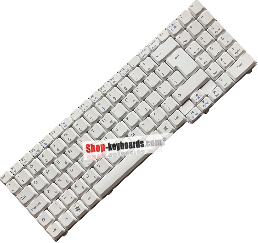 Packard Bell EasyNote MB89 Keyboard replacement