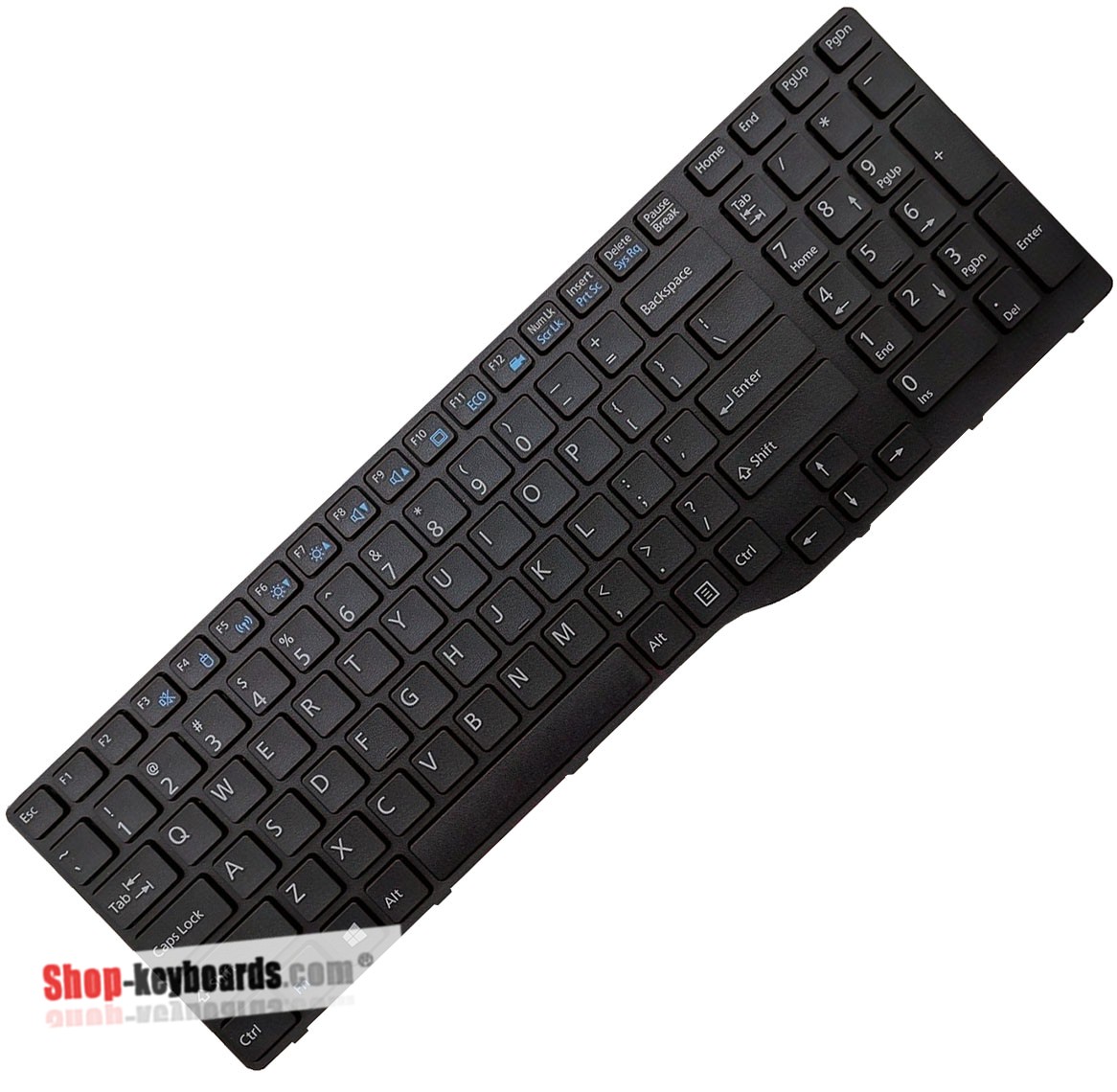 Fujitsu LIFEBOOK AH556 Keyboard replacement