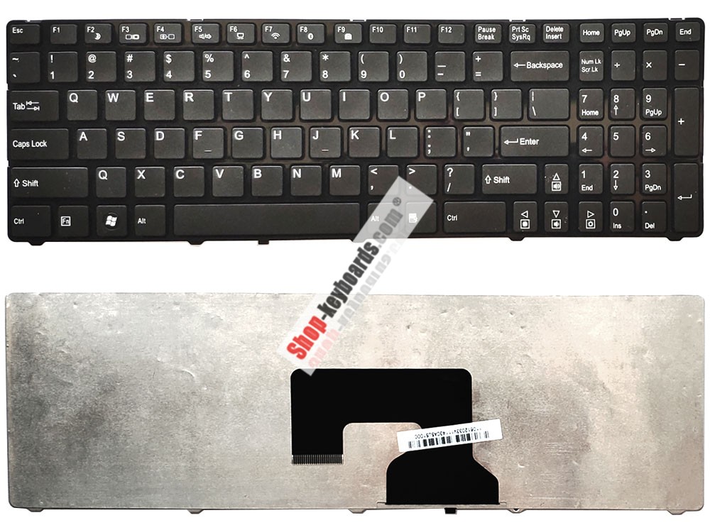 Medion Akoya P7624 Keyboard replacement