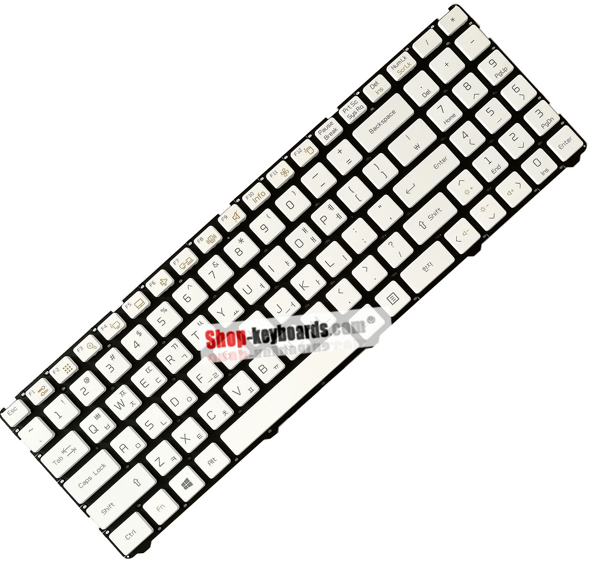 LG MP-12K73E0-9208 Keyboard replacement