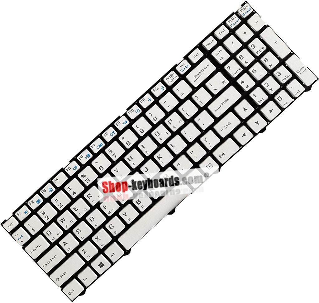 Clevo 6-80-N15Z0-062-1 Keyboard replacement