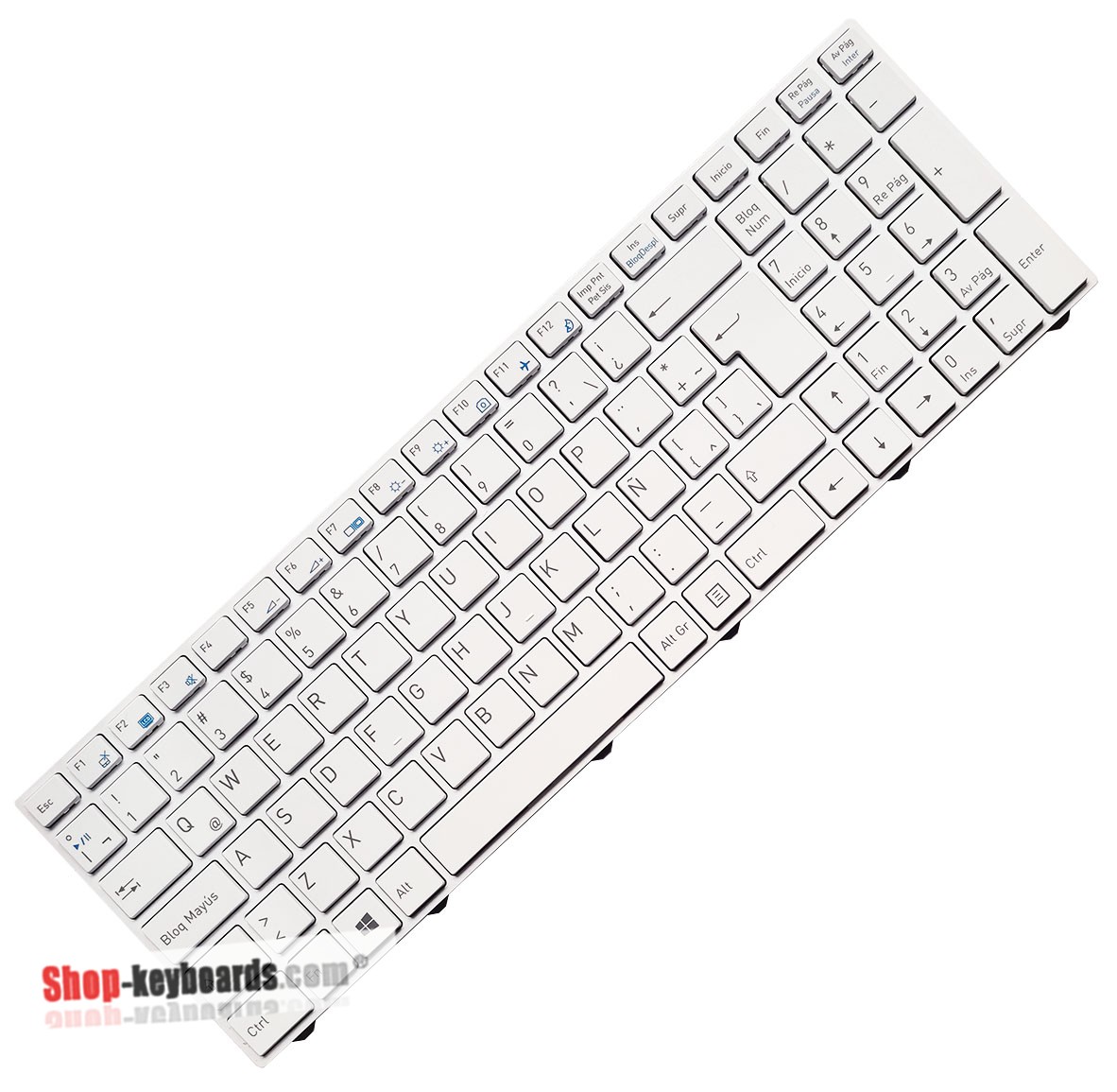 Clevo 6-80-N25L0-100-1P Keyboard replacement