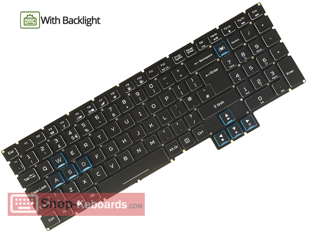 Acer PREDATOR PH717-71-7091  Keyboard replacement