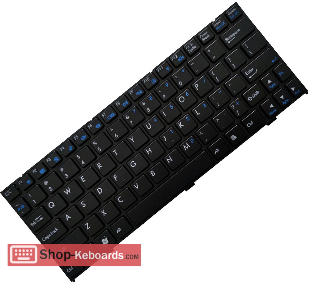 Clevo W110ER Keyboard replacement