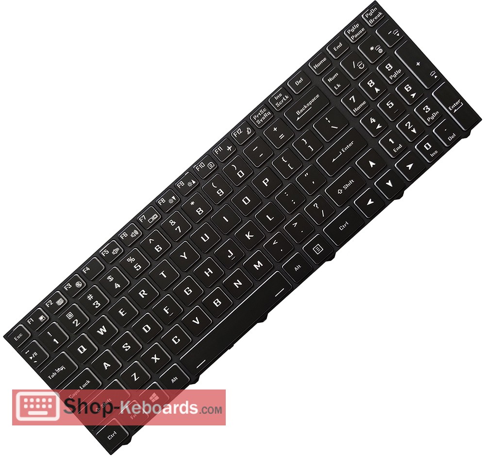 Clevo 6-80-NL710-111-1 Keyboard replacement