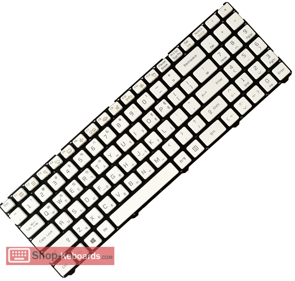 LG MP-12K73CH-9207 Keyboard replacement